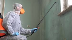 Why You Should Choose Our Mold Remediation Services in Audubon Park, NJ